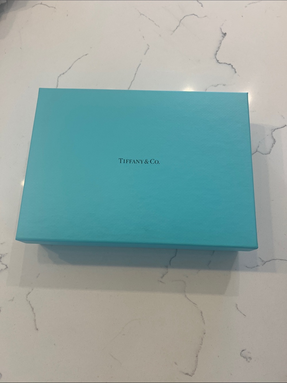 Tiffany & Co.  sterling silver Robin's Egg Blue Presentation Box lotus pattern